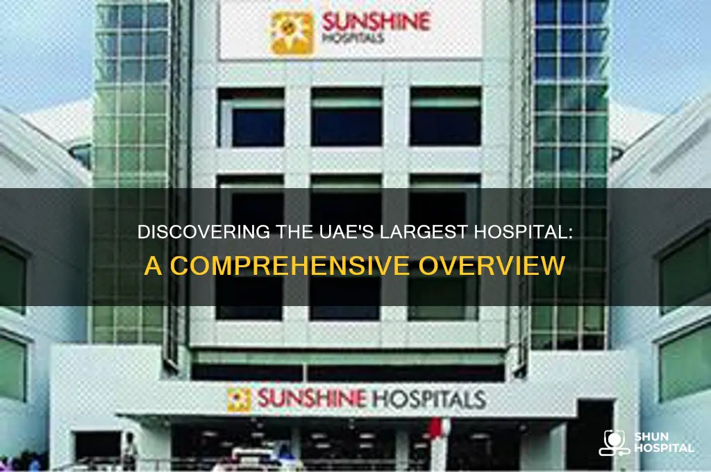 which is the biggest hospital in uae
