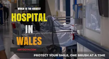 Exploring Wales' Largest Hospital: A Comprehensive Guide to Its Size and Services