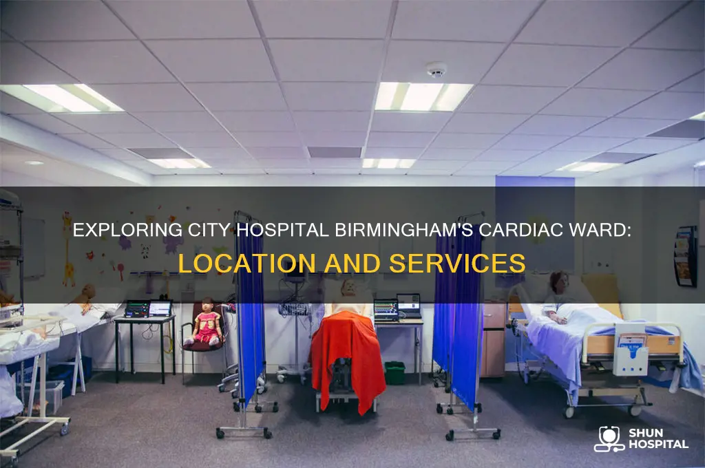 which is the cardiac ward at city hospital birmingham