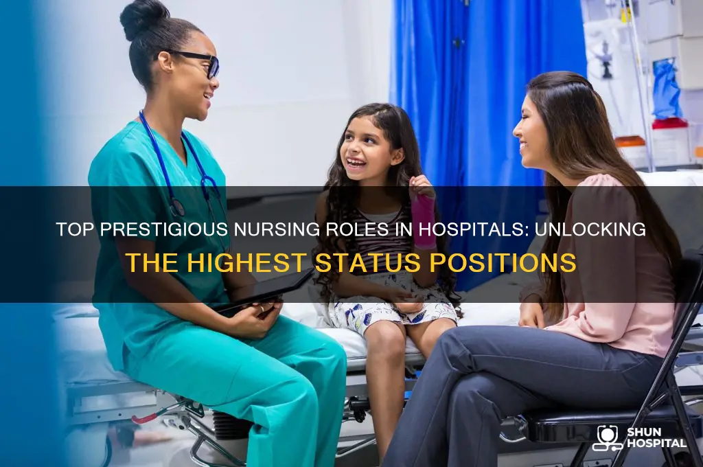 which is the highest status nursing job in hospitals