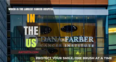 Discovering America's Largest Cancer Hospital: A Comprehensive Overview