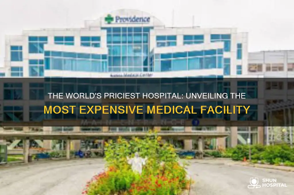 which is the most expensive hospital in the world