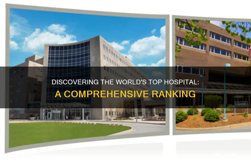 which is the no 1 hospital in the world