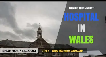 Discovering Wales' Tiniest Hospital: A Hidden Gem in Healthcare