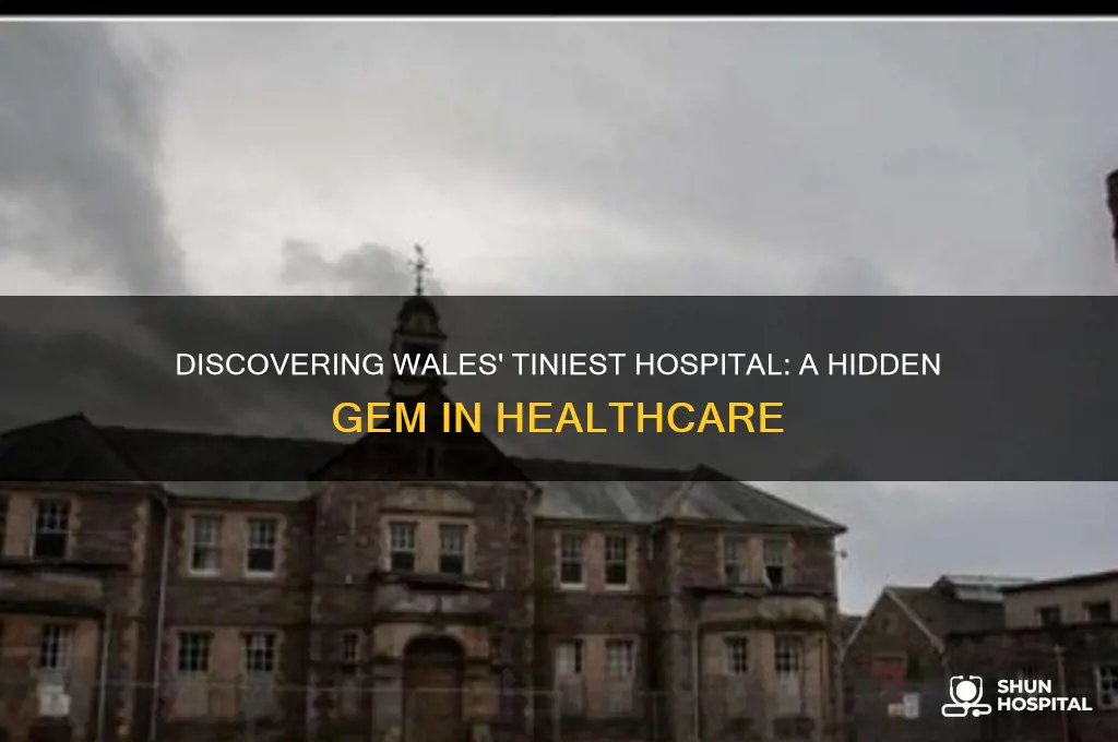 which is the smallest hospital in wales