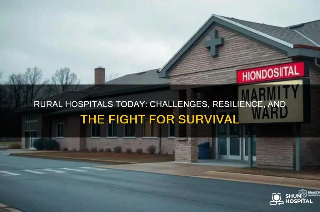 which is true regarding rural hospitals in the present time