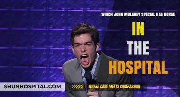 John Mulaney's Hilarious Horse Hospital Scene: Which Special Features It?