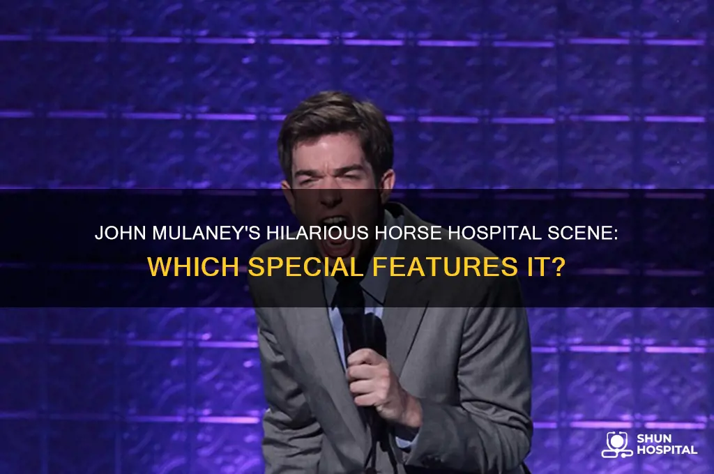which john mulaney special has horse in the hospital