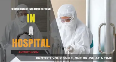 Common Hospital-Acquired Infections: Types, Risks, and Prevention Strategies