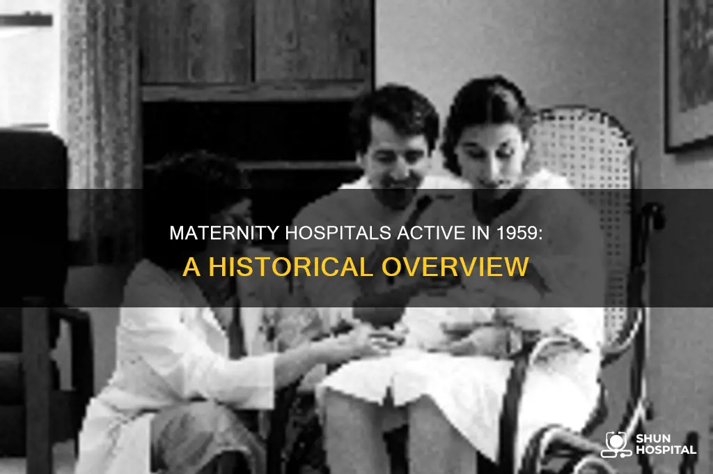 which maternity hospitals were operating during the years 1959