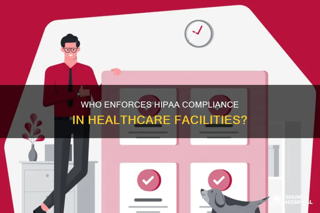 which member in a hospital is responsible for enforcing hipaa