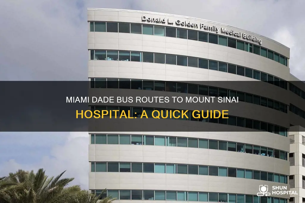 which miami dade bus goes to mount sinai hospital