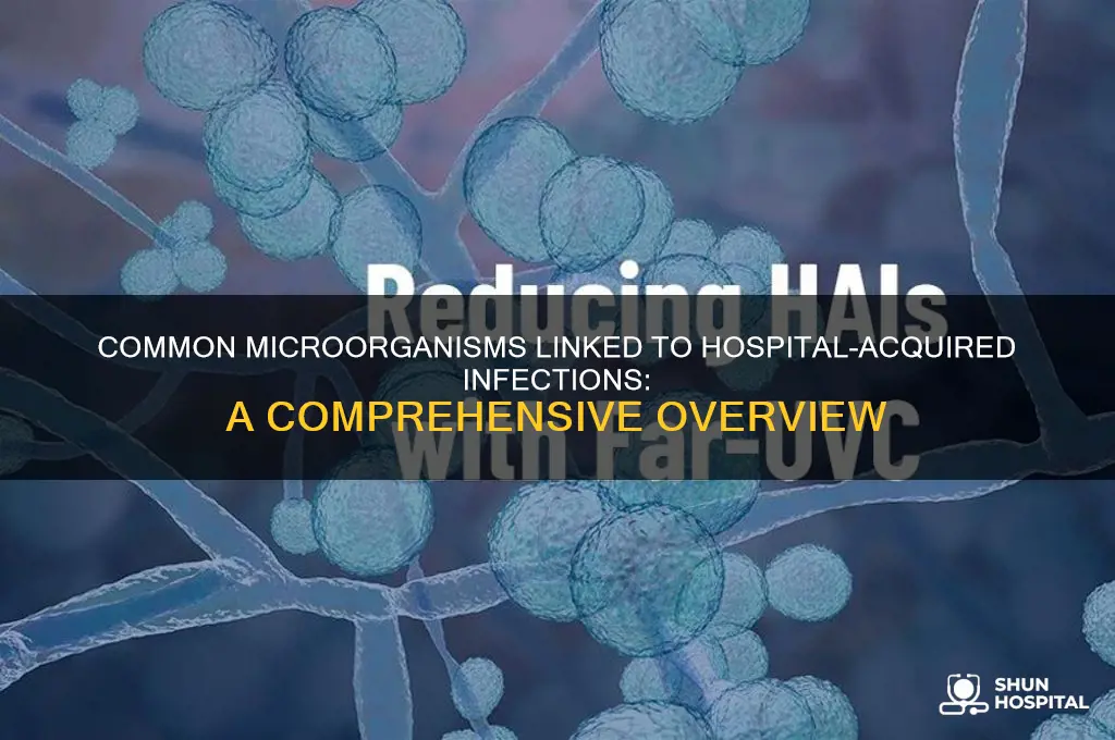which microorganisms is commonly associated with a hospital acquired onfection