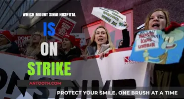 Mount Sinai Hospital Strike: Which Facility is Affected?