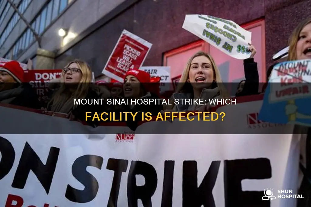 which mount sinai hospital is on strike