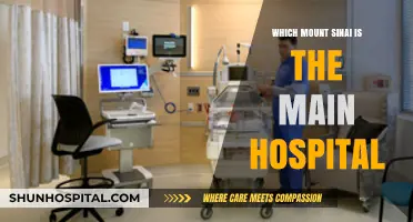 Mount Sinai Main Hospital: Identifying the Primary Medical Center