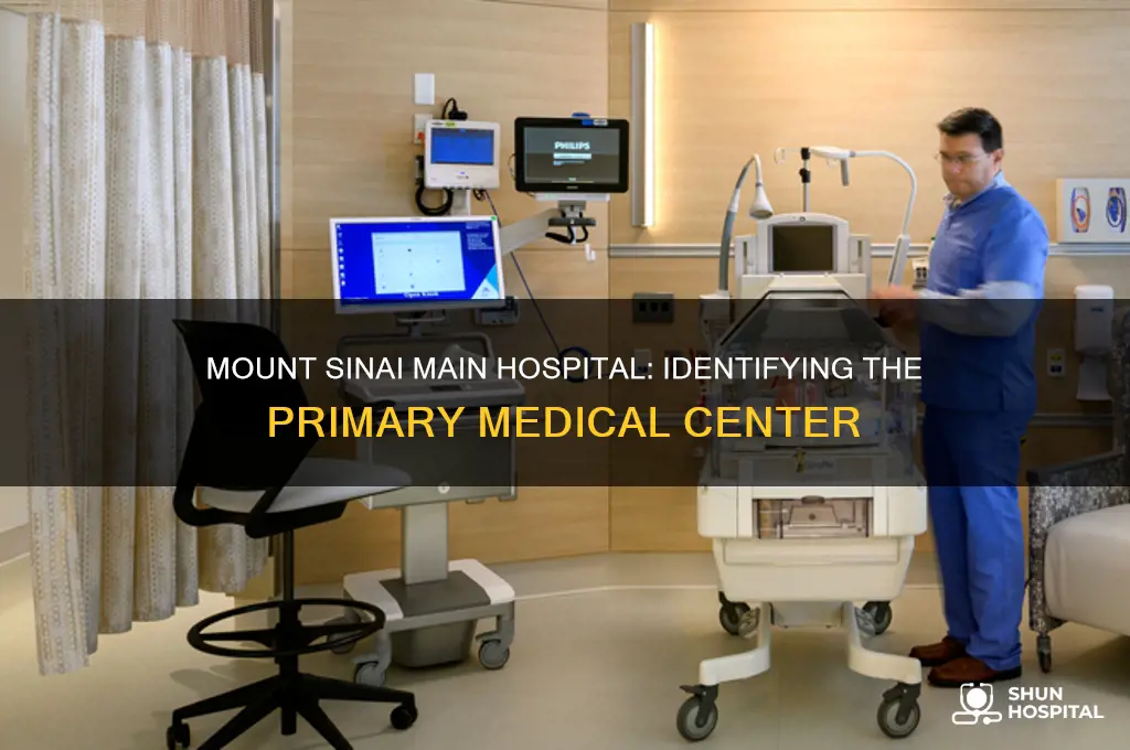which mount sinai is the main hospital