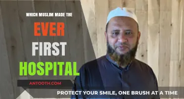 The Pioneering Muslim Who Built the World's First Hospital