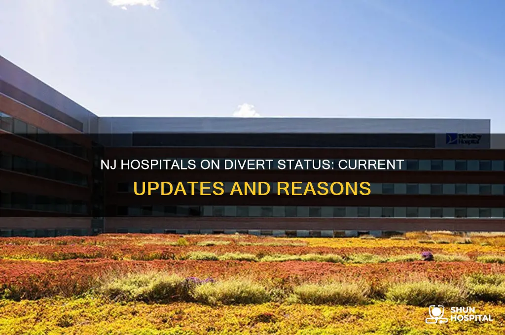 which nj hospitals are on divert status