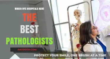 Top NYC Hospitals for Expert Pathology Services and Care