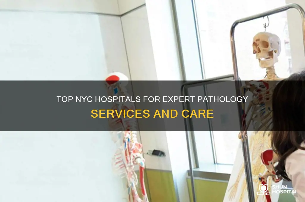 which nyc hospitals have the best pathologists
