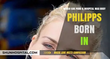 Busy Philipps' Birthplace: Uncovering the Oak Park, IL Hospital