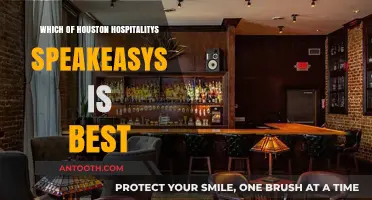 Houston's Hidden Gems: Unveiling the Top Speakeasy Experiences