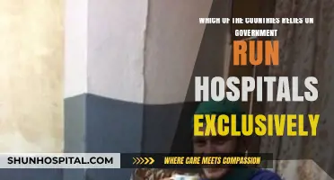Exploring Nations with Exclusive Government-Run Healthcare Systems