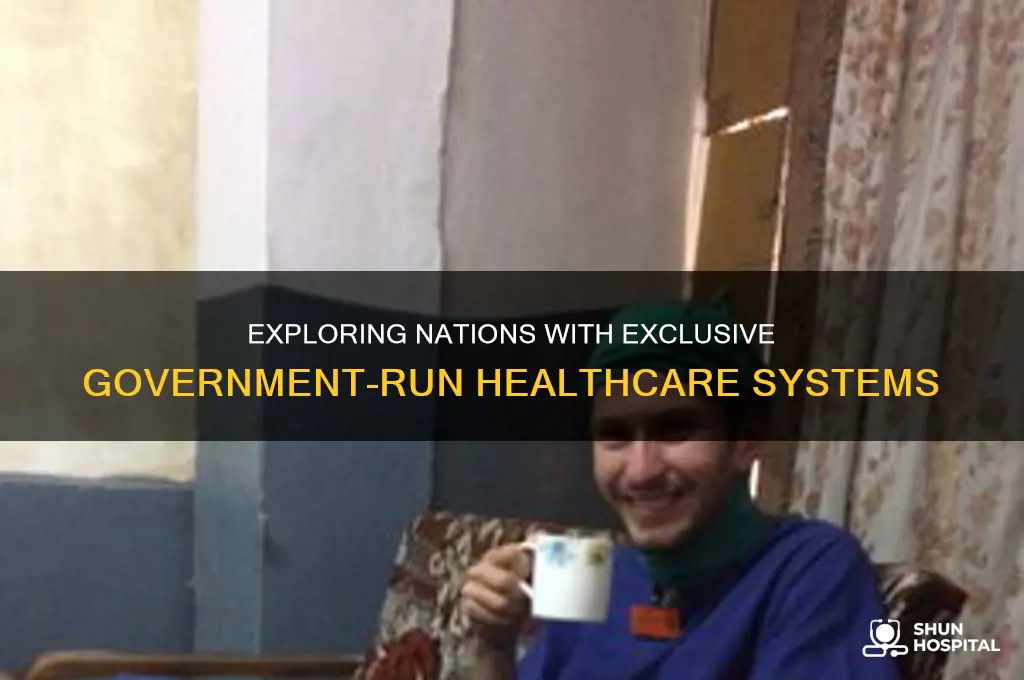 which of the countries relies on government run hospitals exclusively