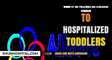 Common Stressors for Hospitalized Toddlers: Understanding Their Challenges