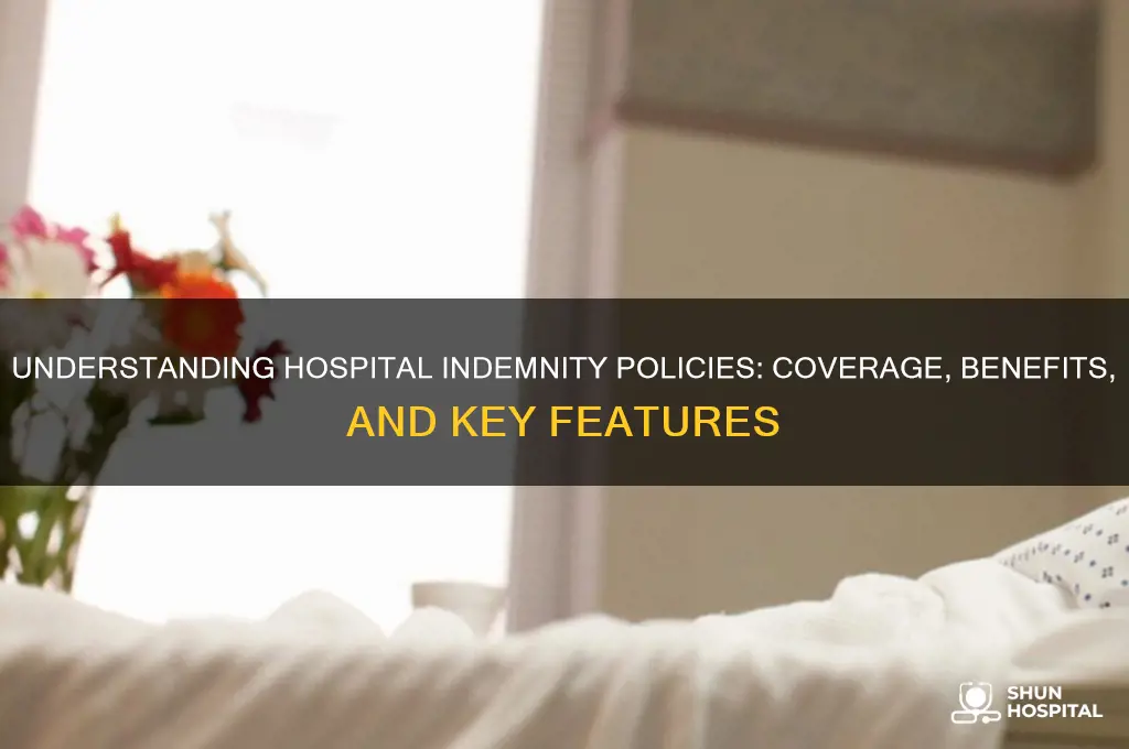 which of the following best describes hospital indemnity policy