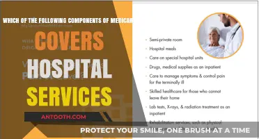 Understanding Medicare: Which Component Covers Hospital Services?