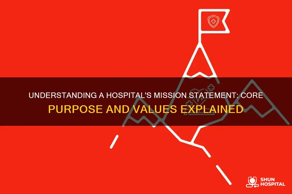 which of the following defines a hospital