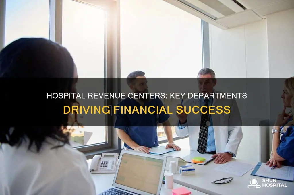 which of the following hospital departments are revenue centers