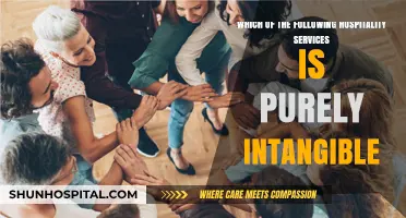 Unveiling Intangible Hospitality: Identifying Purely Non-Physical Services Offered