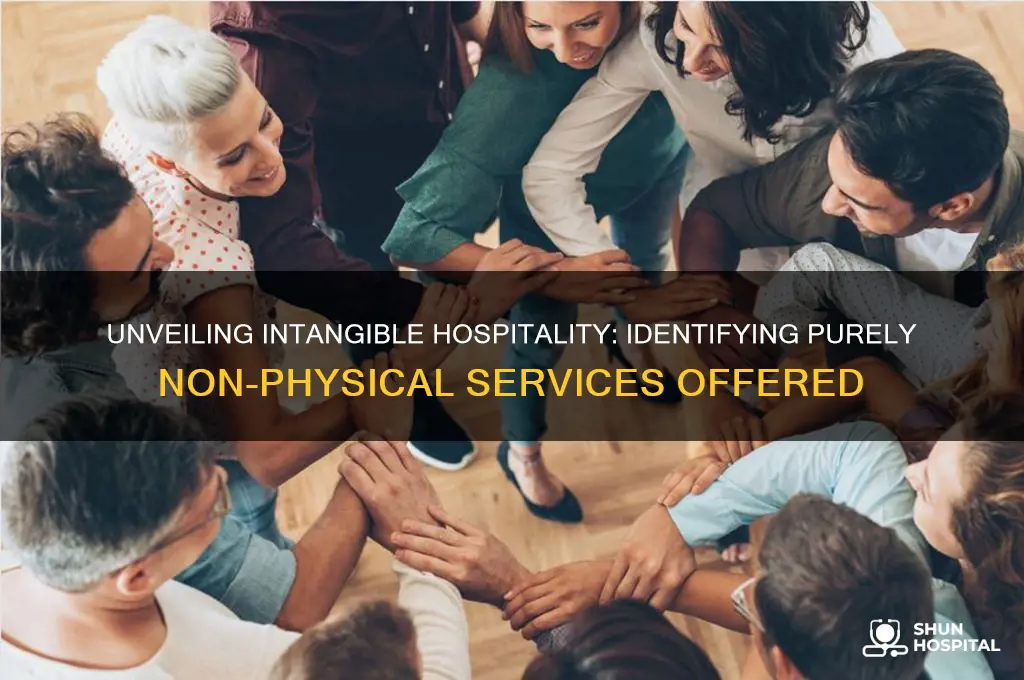 which of the following hospitality services is purely intangible