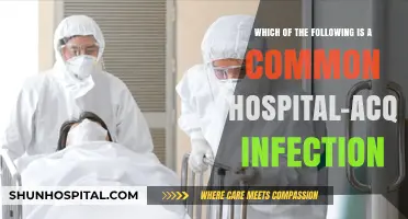 Common Hospital-Acquired Infections: Identifying the Most Prevalent Threat