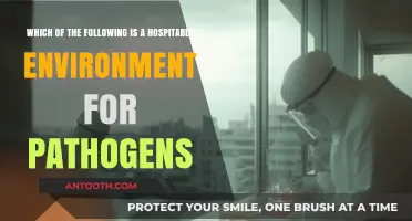 Unveiling Pathogen Havens: What Makes an Environment Hospitable for Infections?