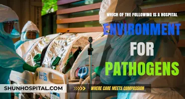 Hospital Environments: A Breeding Ground for Pathogens Explained