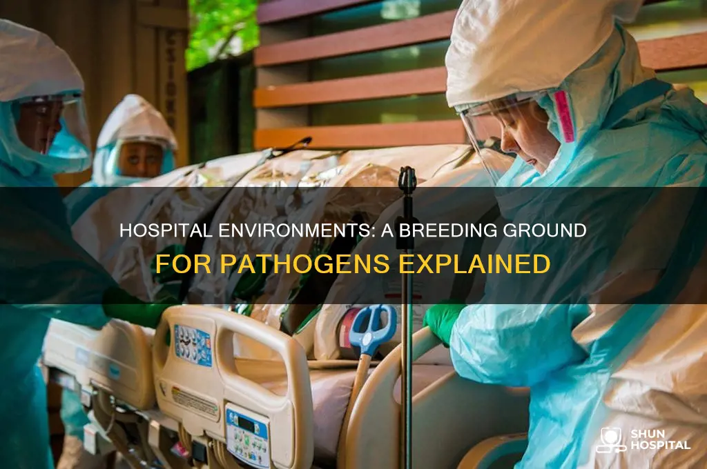 which of the following is a hospital environment for pathogens