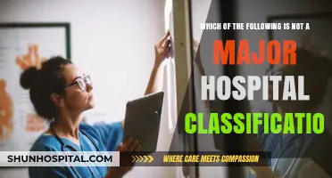 Unraveling Hospital Classifications: Identifying the Outlier in Major Categories