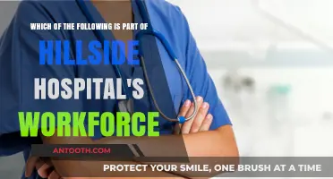 Hillside Hospital's Workforce: Key Roles and Essential Team Members