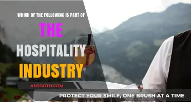 Exploring the Diverse Sectors Within the Hospitality Industry