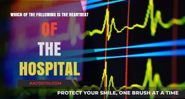 The Lifeline of Healthcare: Unveiling the Hospital's Essential Heartbeat