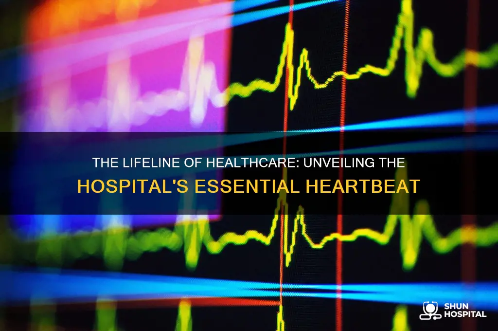 which of the following is the heartbeat of the hospital