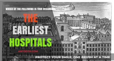Unveiling the Truth About the Earliest Hospitals: Facts and Myths
