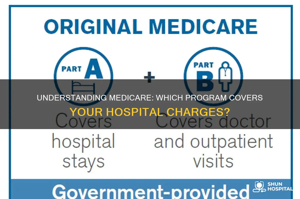 which of the following medicare programs covers hospital charges