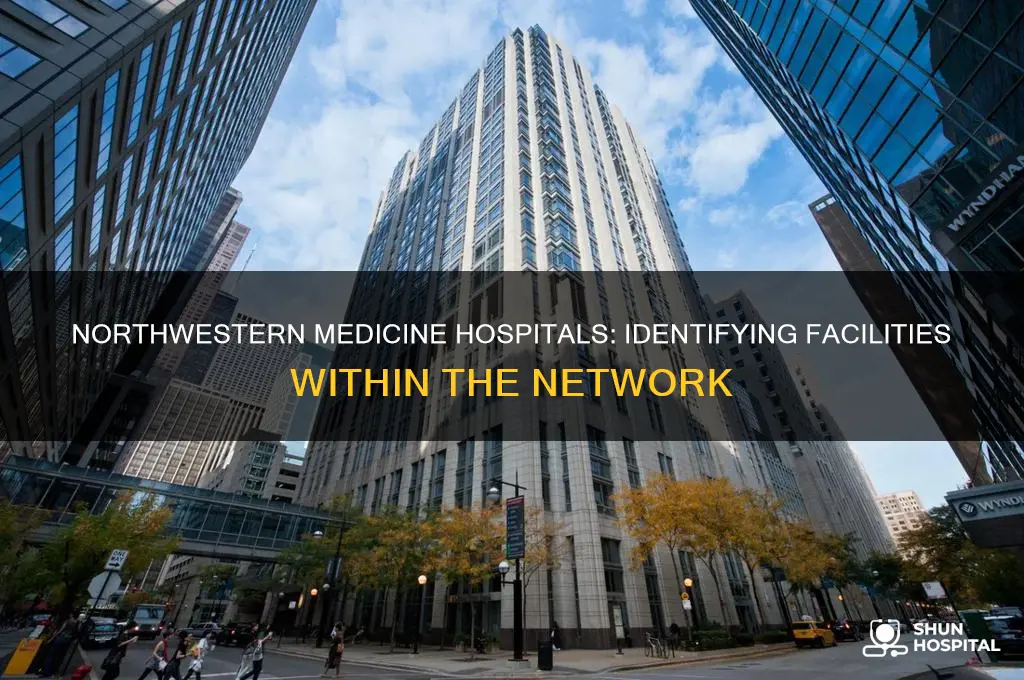 which of these hospitals are part of northwestern medicine