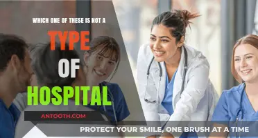 Unraveling the Mystery: Which One Isn't a Hospital Type?