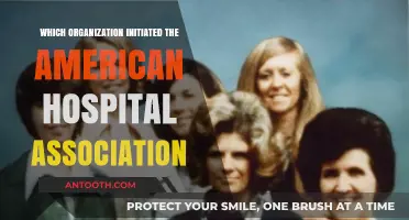 Origins of the American Hospital Association: The Founding Organization